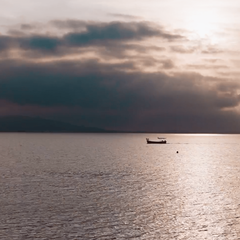 Optical Center – Campagne instagram été 2024